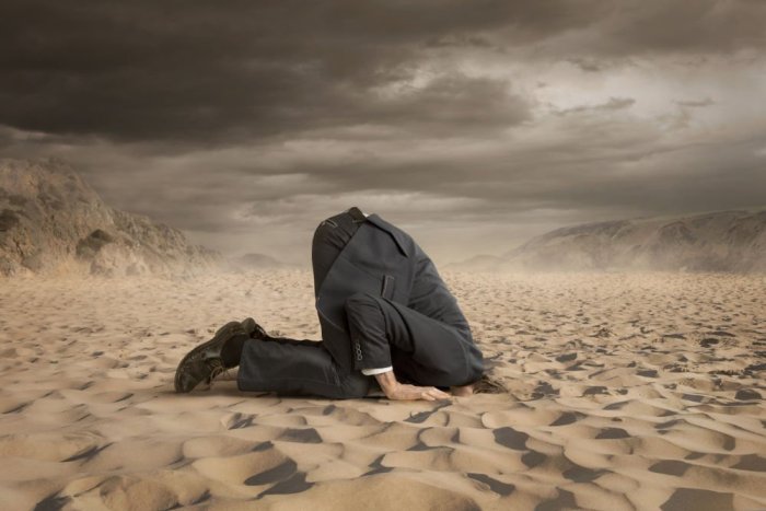 Don't hide your head in the sand! Defend your education brand.